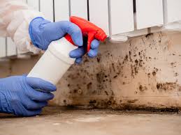 Mold Documentation for Insurance Claims in New Kingman Butler, AZ